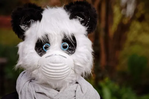 וגדרים קזינו תמיכה